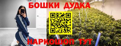 шишки Изобильный