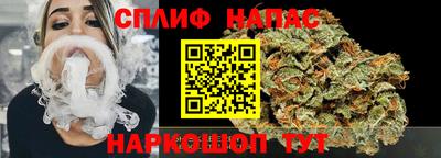 индика Ипатово