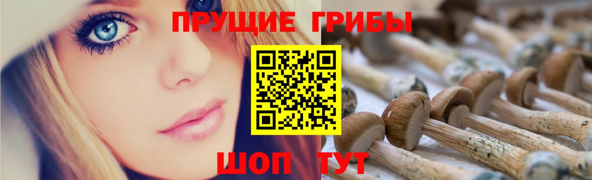 Кстово  Псилоцибиновые грибы прущие грибы  Вход с VPN  Галлюциногенные грибы ЛСД 